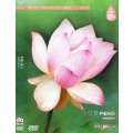 DVD Relax. Romantic. Spa. vol.3 - .    / Video, Dolby Digital, New-age, Chill-out