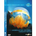 DVD    vol.1 -   /   