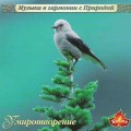 CD      -  / New Age, Insrumental, Relax  (Jewel Case)
