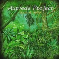 D Aurveda Project - Soul Of Spirit / New Age, Ethno Ambient, Enigmatic