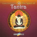 СD Gomer Edwin Evans - The Spirit of Tantra (Дух Тантры) / healing music (Jewel Case)