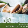 CD Stephan North - Natural Wellness ( ) / Meditative, Relax, SPA (Jewel Case)