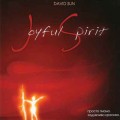 CD David Sun - Joyful Spirit (��� �������) / New Age, Relax  (Jewel Case)