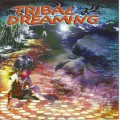 CD Various Artists  Tribal Dreaming / Tribal-Fusion, Chillout