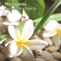 D Milarepa () -    / Meditative, Mantras (Jewel Case)