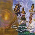 CD Various Artists - Exotic Spice (������������ ������) / ethnic fusion, trance