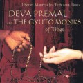 CD Deva Premal and The Gyuto Monks of Tibet - Tibetan Mantrs for Turbulent Times / Meditative, Mantras (Jewel Case)